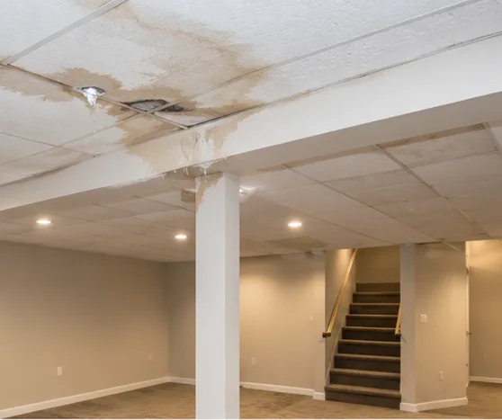 Thermal Imaging in Ramsey, MN
