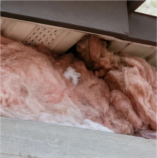 Attic Bypass & Poor Ventilation in Coon Rapids, MN